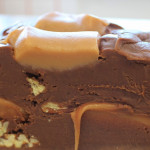 Turtle Fudge Turtle Fudge