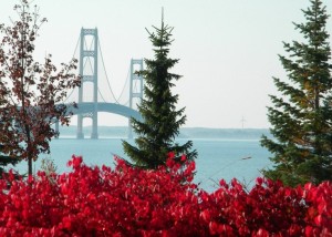 UP NORTH, the Mackinac Bridge in Fall